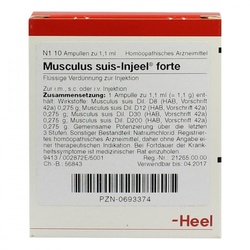 Musculus suis Injeel forte Ampullen
