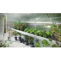 KGT Pflanzwanne für Gewächshäuser Orchidee