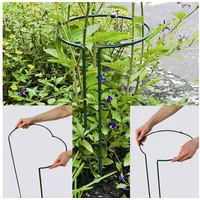 Siena Garden Pflanzenstütze vollrund 55 cm verstellbar