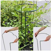 Siena Garden Pflanzenstütze vollrund 55 cm verstellbar