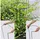 Siena Garden Pflanzenstütze vollrund 55 cm verstellbar