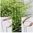 Siena Garden Pflanzenstütze vollrund 55 cm verstellbar