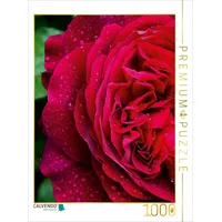 Calvendo Dunkelrote Rose im Regen 1000 Teile Puzzle hoch