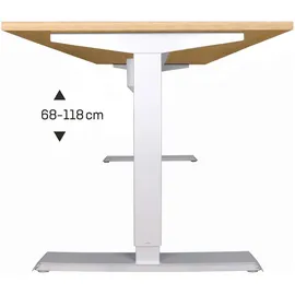 Stier Schreibtisch 501-33 Buche
