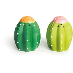 Excelsa Salz Und Pfefferstreuer Cactus Keramik 4,5x4,5x7 cm Grün