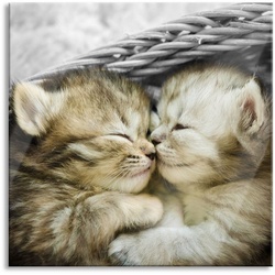 Pixxprint Glasbild Zwei süße Babykatzen im Korb, Zwei süße Babykatzen im Korb (1 St), Glasbild aus Echtglas, inkl. Aufhängungen und Abstandshalter bunt|schwarz 60 cm x 60 cm