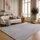 The CarPET Relax Kurzflorteppich 80 x 300 cm Grau