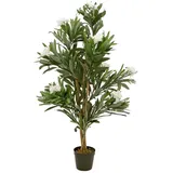 Europalms Oleanderbaum, weiß, 120 cm
