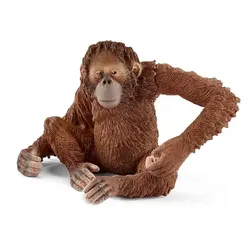 Schleich - 14775 Orang-Utan Weibchen