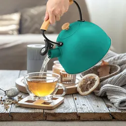 Briebe Nordic Wasserkessel Induktion Flötenkessel 2,5 L Edelstahl,  Holzgriff, Grün