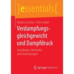 Verdampfungsgleichgewicht und Dampfdruck als eBook Download von Mathias Schulze/ Peter Seidel