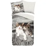 Muller Textiles Xxxl Jugendbettwäsche Snooze, Grau, Textil, Katze, 135x200 cm bügelleicht, Schlaftextilien, Bettwäsche Kinderbettwäsche