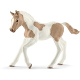 Schleich 13886 Paint Horse Fohlen