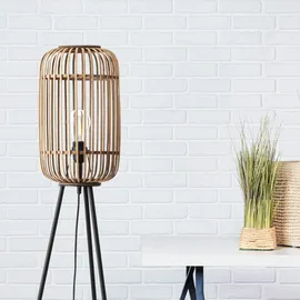 Brilliant Woodrow Braun