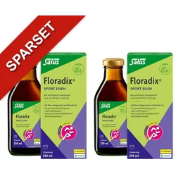 Floradix Sport Eisen Tonikum
