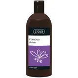 Ziaja Lavendel Shampoo für fettiges Haar 500 ml