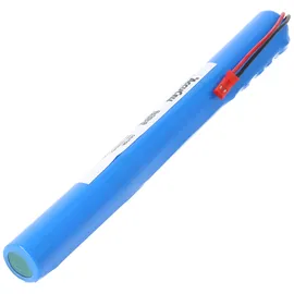 AccuCell Heim & Haus 18796 Lithium Ionen Akku 10,8 Volt 2500 mAh