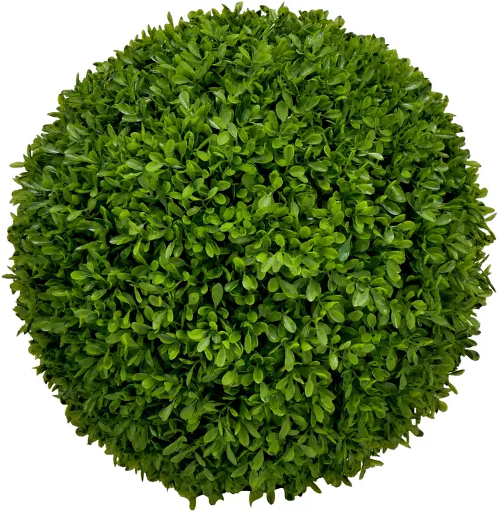 Buchs Kugel D35cm grün