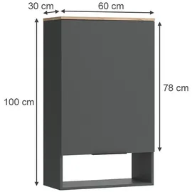 Vicco Hängeschrank Wido Anthrazit, Eiche 60 x 100 cm mit Tür