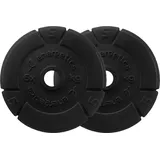 ENERGETICS Hantelscheibe Cast Iron Disc Pair 3