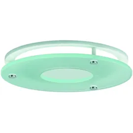 RIDI Homelight DR235 Dekorglas