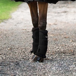 Back on Track Stallgamaschen Royal - Paar - Schwarz, L