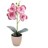 HEIBTENY Künstliche gefälschte Orchidee Blumen Topfpflanze Bonsai Für Party Garten Home Decor Künstliche Orchidee Blume Bonsai mit Topf Topf Phalaenopsis Home Garden Decor