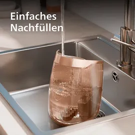 Philips PerfectCare 7000 Series PSG7300/80 Schwarz/Gold