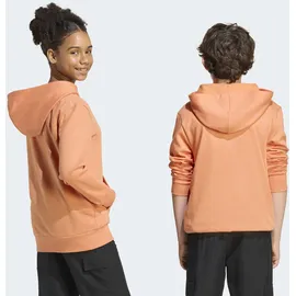 adidas Hoodie Orange 176