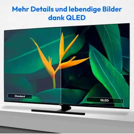 Medion X15574 (MD 30987) 138,8 cm (55 Zoll) QLED Fernseher (Smart TV, 4K, Dolby Vision HDR, Dolby Atmos, Subwoofer, Netflix, Prime Video, PVR, Bluetooth, MEMC, Micro Dimming)