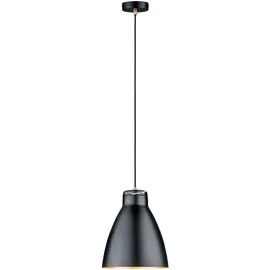 Paulmann Disa (79607)