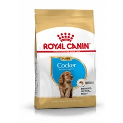 Royal Canin Puppy Cocker Spaniel Hundefutter 3 x 3 kg