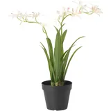 IKEA FEJKA Topfpflanze, künstlich Orchidee gelb