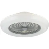 EGLO Sayulita-l 55 cm Deckenventilator Weiß/Grau
