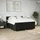 vidaXL Boxspringbett 180 x 200 cm Schwarz