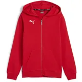 Puma teamGOAL Casuals Hooded Jacket Jr Rot 164