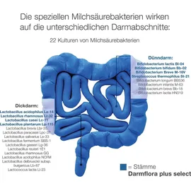 Dr. Wolz Darmflora Plus Select Intens Kapseln 40 St.