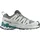 Salomon XA Pro 3D V9 Herren Gull/White/Bleached Aqua 42 2/3