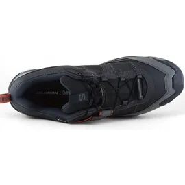Salomon Herren X Ultra 5 GTX Schuhe (Größe 44, grau)