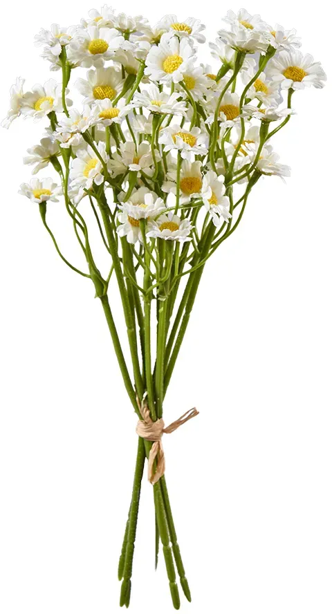 Gänseblümchen Strauß 27cm weiß