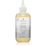 Paul Mitchell Awapuhi Wild Ginger HydraSoft Glossing Treatment Haarkur 236 ml