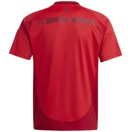 adidas FC Bayern München 24/25 Heimtrikot Kids Red 140