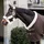 Kentucky Show Rug 160g 130 cm Schwarz
