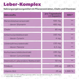 r(h)ein nutrition & health gmbh Leber-Komplex Mariendistel + Artischocke + Cholin