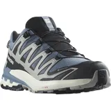 Salomon Herren XA Pro 3D GTX Schuhe Größe 44