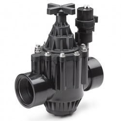 Magnetventil 200-PGA Rain-Bird, 2" IG/IG 24VAC, Ventil 200 PGA Rain Bird Typ: 200PGA