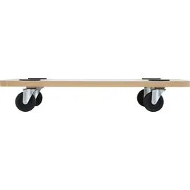 Spetebo Transport Rollbrett im 2er Set - Möbelroller Pflanzenroller Möbel Pflanzen Transporthilfe mit