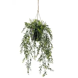 Emerald Kunstpflanze Buchsbaum Hängend in Topf 50 cm