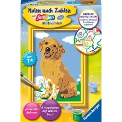 Ravensburger  CreArt 28511 - Kleiner Golden Retriever - Malen nach Zahlen Hund f...