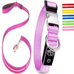 Petsation Leuchthalsband + Leine pink L